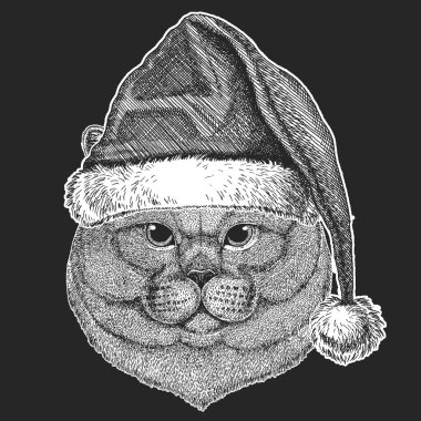 Kedi Noel, yeni yıl kutlama. Noel Baba kış şapka. Xmas headdress.