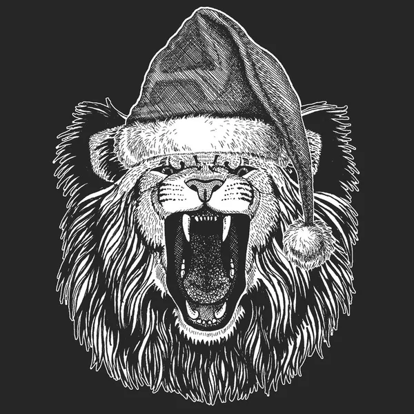Vahşi aslan. Noel, yeni yıl kutlama. Noel Baba kış şapka. Xmas headdress.