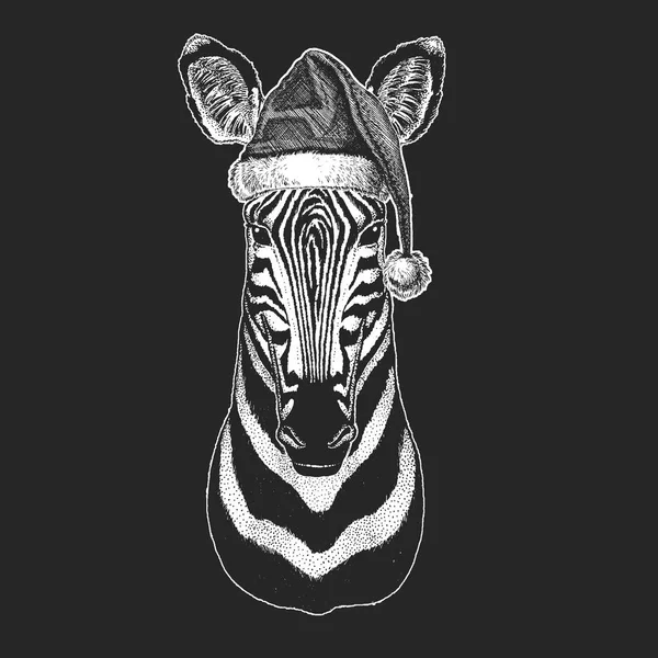 Zebra. Christmas, new year celebration. Santa Claus winter hat. Xmas headdress. — Stock Vector