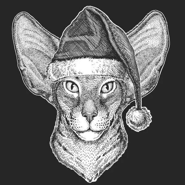 Γάτα Χριστούγεννα, γιορτή της Πρωτοχρονιάς. Αϊ Βασίλη καπέλο χειμώνα. Χριστούγεννα κόμμωση. — Διανυσματικό Αρχείο