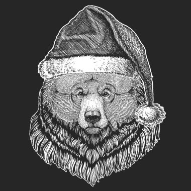 Kuzey Amerika boz ayısı büyük vahşi ayı Noel, yeni yıl kutlama. Noel Baba kış şapka. Xmas headdress.