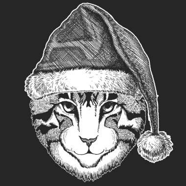Kedi Noel, yeni yıl kutlama. Noel Baba kış şapka. Xmas headdress.
