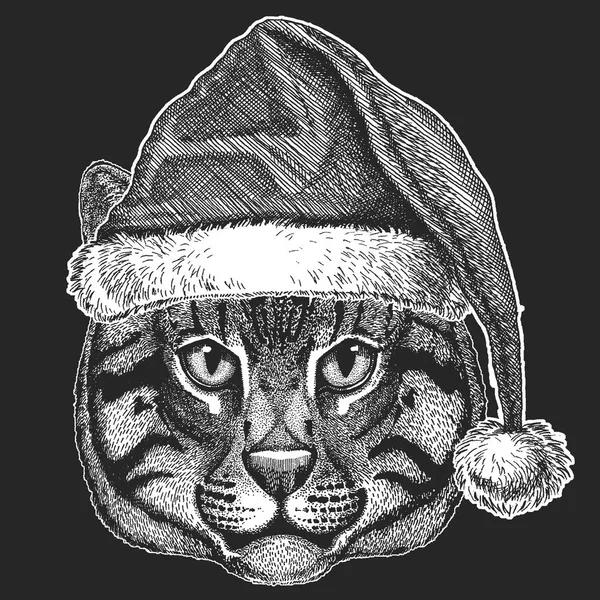 Chat sauvage, Noël de chat de pêche, célébration du nouvel an. Chapeau d'hiver du Père Noël. Coiffe de Noël . — Image vectorielle