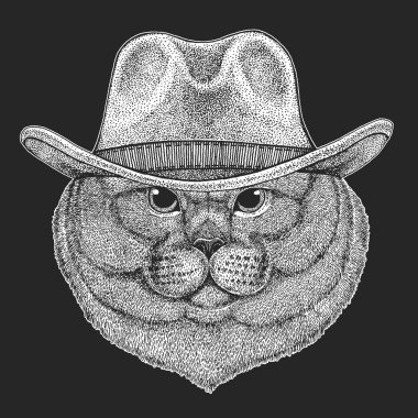 Vahşi Batı. Geleneksel Amerikan kovboy şapkası. Texas rodeo. Çocuklar için t-shirt çocuklar yazdırın. Amblem, logo, rozet yama için görüntü.