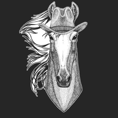 At, hoss, şövalye, at, Adiyat. Vahşi Batı. Geleneksel Amerikan kovboy şapkası. Texas rodeo. Çocuklar için t-shirt çocuklar yazdırın. Amblem, logo, rozet yama için görüntü.