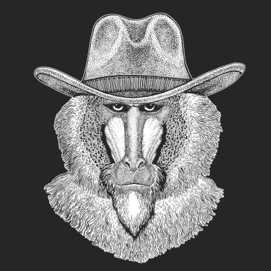 Maymun, maymun, köpek-maymun, maymun. Vahşi Batı. Geleneksel Amerikan kovboy şapkası. Texas rodeo. Çocuklar için t-shirt çocuklar yazdırın. Amblem, logo, rozet yama için görüntü.