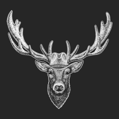 Geyik. Vahşi Batı. Geleneksel Amerikan kovboy şapkası. Texas rodeo. Çocuklar için t-shirt çocuklar yazdırın. Amblem, logo, rozet yama için görüntü.