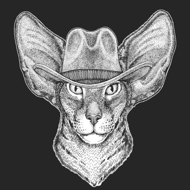 Vahşi Batı. Geleneksel Amerikan kovboy şapkası. Texas rodeo. Çocuklar için t-shirt çocuklar yazdırın. Amblem, logo, rozet yama için görüntü.