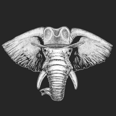 Afrika ya da Hindistan fil vahşi batı. Geleneksel Amerikan kovboy şapkası. Texas rodeo. Çocuklar için t-shirt çocuklar yazdırın. Amblem, logo, rozet yama için görüntü.