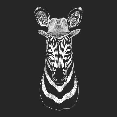 Zebra, at. Vahşi Batı. Geleneksel Amerikan kovboy şapkası. Texas rodeo. Çocuklar için t-shirt çocuklar yazdırın. Amblem, logo, rozet yama için görüntü.