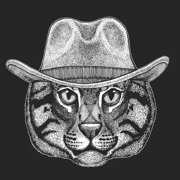 Cat. Wild west. Traditional american cowboy hat. Texas rodeo. Print for children, kids t-shirt. Image for emblem, badge, logo, patch. — Stock Vector