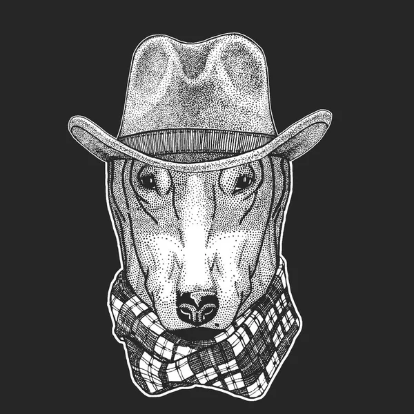 Cão. Oeste selvagem. Chapéu de cowboy americano tradicional. Rodeio do Texas. Impressão para crianças, t-shirt para crianças. Imagem para emblema, emblema, logotipo, patch . —  Vetores de Stock