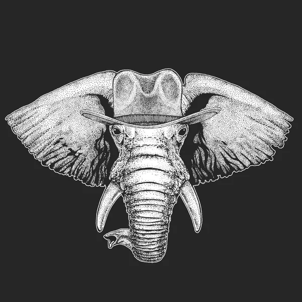 Afrika ya da Hindistan fil vahşi batı. Geleneksel Amerikan kovboy şapkası. Texas rodeo. Çocuklar için t-shirt çocuklar yazdırın. Amblem, logo, rozet yama için görüntü.