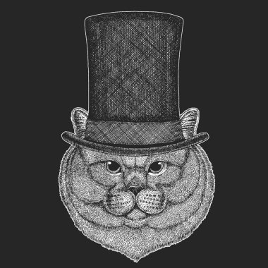 Kedi silindir şapka, silindir. Hipster hayvan, beyefendi. Klasik headdress. Çocuklar için yazdırma t-shirt, Çocuk giyim.