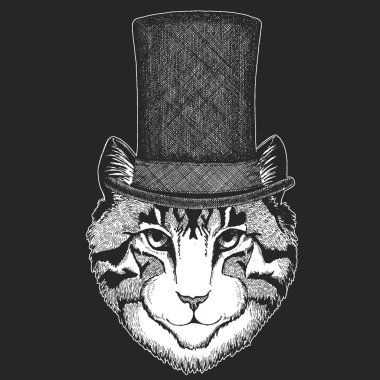 Kedi silindir şapka, silindir. Hipster hayvan, beyefendi. Klasik headdress. Çocuklar için yazdırma t-shirt, Çocuk giyim.