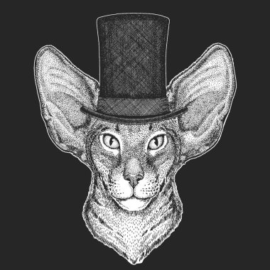 Silindir şapka, silindir. Hipster hayvan, beyefendi. Klasik headdress. Çocuklar için yazdırma t-shirt, Çocuk giyim.