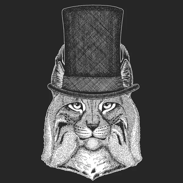 Άγρια γάτα, Lynx, Bobcat, τριποδισμός χέρι κορυφή καπέλο, κύλινδρος. Hipster ζώο, τζέντλεμαν. Κλασικό κόμμωση. Εκτύπωσης για παιδιά t-shirt, Παιδικά Ρούχα. — Διανυσματικό Αρχείο