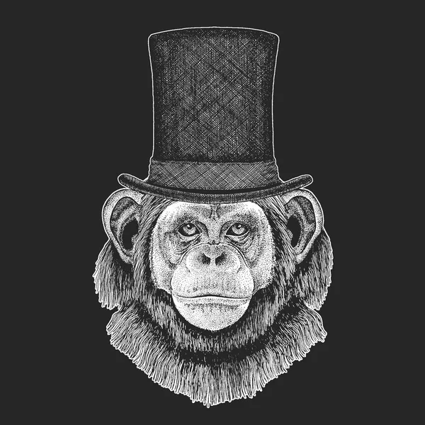Chimpanzé, chapeau de singe, cylindre. Hipster Animal, monsieur. Coiffure classique. T-shirt pour enfants, vêtements pour enfants . — Image vectorielle