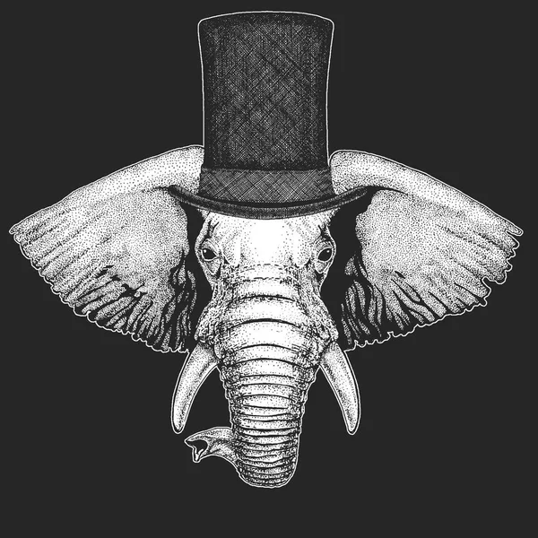 Elephant Top hat, cylinder. Hipster djur, gentleman. Klassiska huvudbonad. Utskrift för barn t-shirt, barnkläder. — Stock vektor