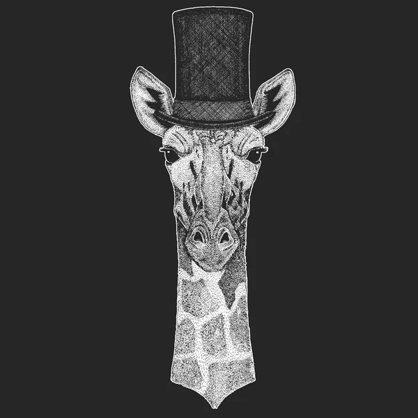 Camélope, casquette girafe, cylindre. Hipster Animal, monsieur. Coiffure classique. T-shirt pour enfants, vêtements pour enfants . — Image vectorielle