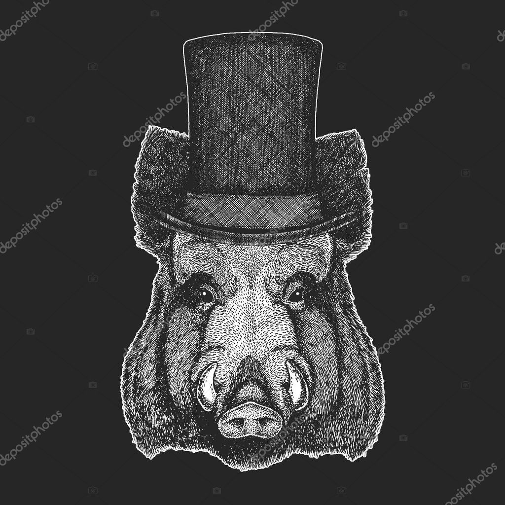 Aper, boar, hog, wild boar Hand drawn image for t-shirt, tattoo, emblem, badge logo patch