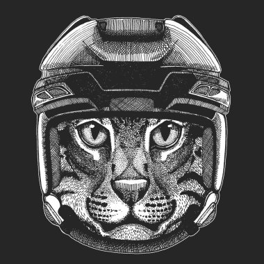 Kedi vahşi hayvan giyen hokey kask. T-shirt tasarımı için yazdırma.