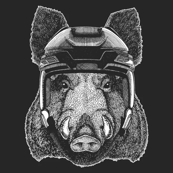 Aper, boar, hog, wild boar Wild animal wearing hockey helmet. Print for t-shirt design. — Stock Vector