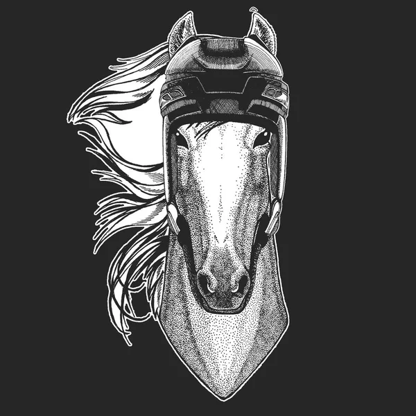 Cavallo, cavallo, cavallo, destriero, corsaro Animali selvatici che indossano casco da hockey. Stampa per t-shirt design . — Vettoriale Stock