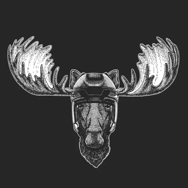 Moose, elk Hewan liar mengenakan helm hoki. Cetak untuk desain t-shirt . - Stok Vektor
