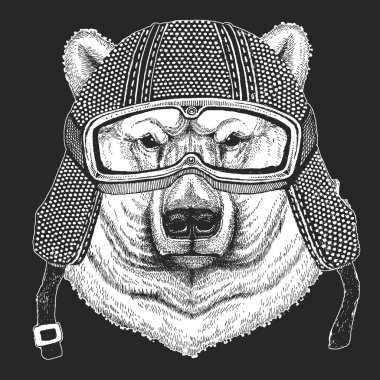 Kutup ayısı. Vintage motosiklet hemlet. Retro tarzı illüstrasyon ile hayvan motorcu çocuk, Çocuk giyim, t-shirtler. Moda serin karakteri ile yazdırma. Hız ve özgürlük.