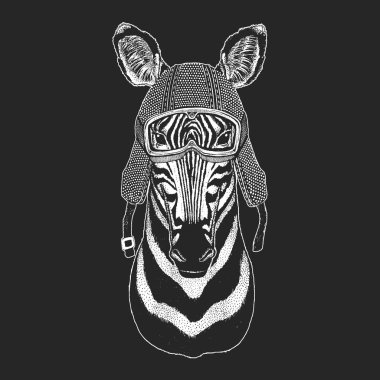 Zebra at. Vintage motosiklet hemlet. Retro tarzı illüstrasyon ile hayvan motorcu çocuk, Çocuk giyim, t-shirtler. Moda serin karakteri ile yazdırma. Hız ve özgürlük.