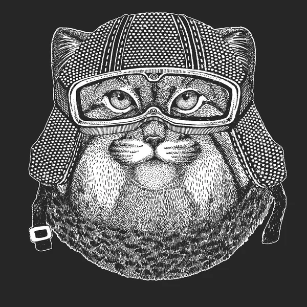 Wilde Katze manul vintage Motorrad Hanf. Illustration im Retro-Stil mit Tierbiker für Kinder, Kinderbekleidung, T-Shirts. Mode-Print mit coolem Charakter. Geschwindigkeit und Freiheit. — Stockvektor