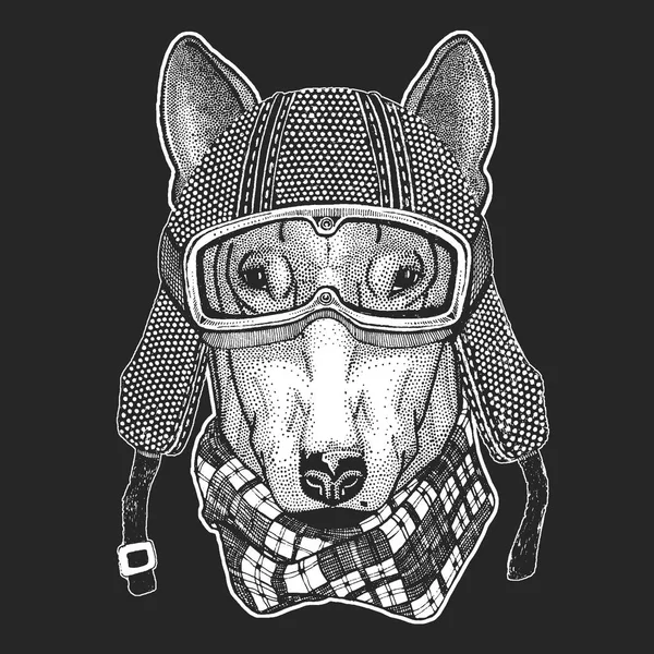 Hund. Vintage MC hemlet. Retro stil illustration med animaliskt biker för barn, barnkläder, t-shirts. Mode med cool karaktär. Fart och frihet. — Stock vektor