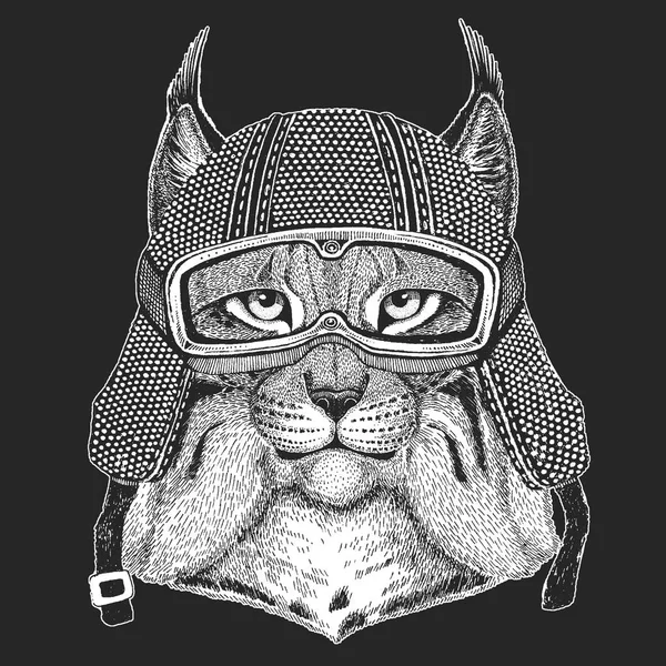 Wilde kat, Lynx, Bobcat, draf Vintage motorfiets hemlet. Illustratie van de retro-stijl met dierlijke biker voor kinderen, kids kleding, t-shirts. Mode print met koel karakter. Snelheid en vrijheid. — Stockvector