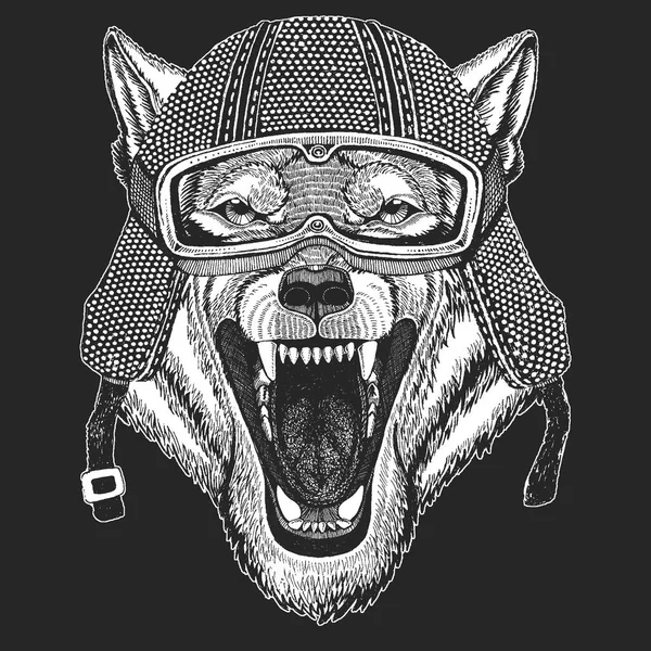 Lobo, perro. Dobladillo moto vintage. Ilustración de estilo retro con motorista animal para niños, ropa para niños, camisetas. Estampado de moda con carácter cool. Velocidad y libertad . — Vector de stock