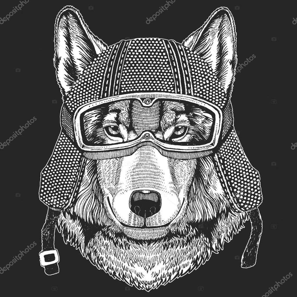 Vintage motorcycle hemlet. Retro style illustration with animal biker for children, kids clothing, t-shirts. Fashion print with cool character. Speed and freedom.