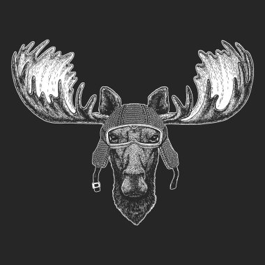 Vintage motosiklet hemlet. Retro tarzı illüstrasyon ile hayvan motorcu çocuk, Çocuk giyim, t-shirtler. Moda serin karakteri ile yazdırma. Hız ve özgürlük.