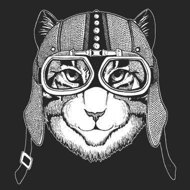 Kedi. Vintage motosiklet hemlet. Retro tarzı illüstrasyon ile hayvan motorcu çocuk, Çocuk giyim, t-shirtler. Moda serin karakteri ile yazdırma. Hız ve özgürlük.