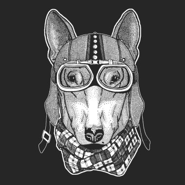 Köpek. Vintage motosiklet hemlet. Retro tarzı illüstrasyon ile hayvan motorcu çocuk, Çocuk giyim, t-shirtler. Moda serin karakteri ile yazdırma. Hız ve özgürlük.