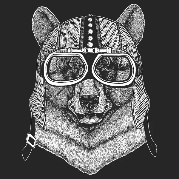 Oso. Dobladillo moto vintage. Ilustración de estilo retro con motorista animal para niños, ropa para niños, camisetas. Estampado de moda con carácter cool. Velocidad y libertad . — Archivo Imágenes Vectoriales