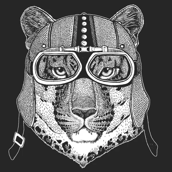 Leopardo, gato salvaje, pantera, puma, jaguar. Dobladillo moto vintage. Ilustración de estilo retro con motorista animal para niños, ropa para niños, camisetas. Estampado de moda con carácter cool. Velocidad y — Vector de stock