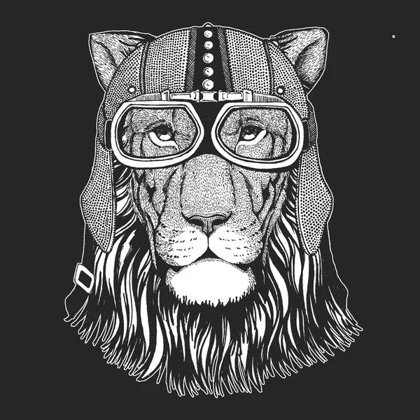 Leão. Gato selvagem. Hemlet de motocicleta vintage. Ilustração estilo retro com motociclista animal para crianças, roupas infantis, camisetas. Impressão de moda com caráter legal. Velocidade e liberdade . —  Vetores de Stock