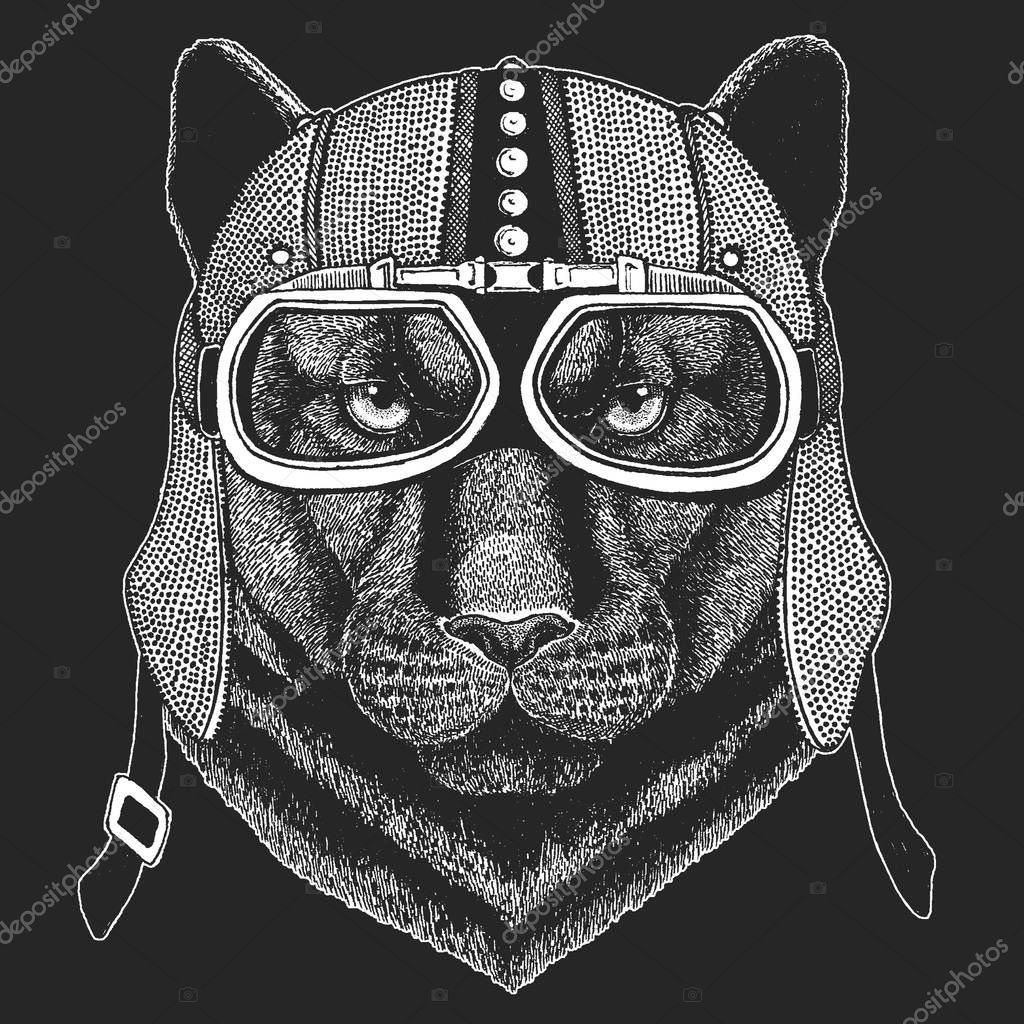 Panther Puma Cougar Wild cat Hand drawn image for tattoo, emblem, badge, logo, patch, t-shirt