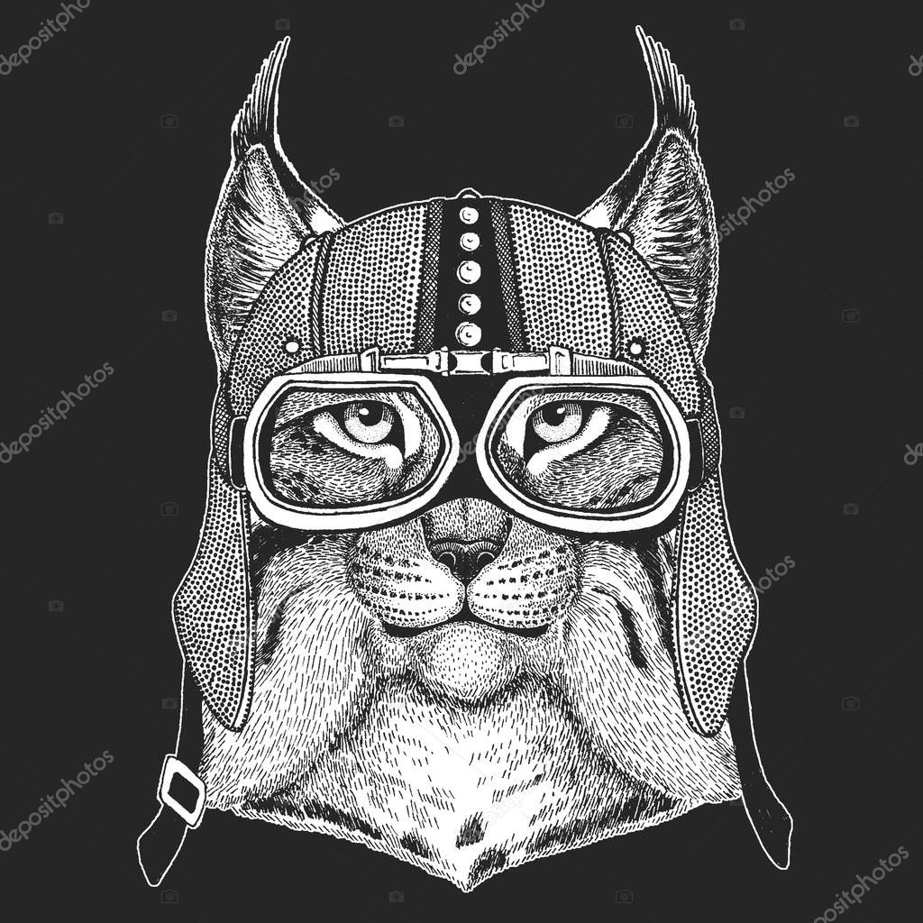 Wild cat Lynx Bobcat Trot Hand drawn image for tattoo, emblem, badge, logo, patch