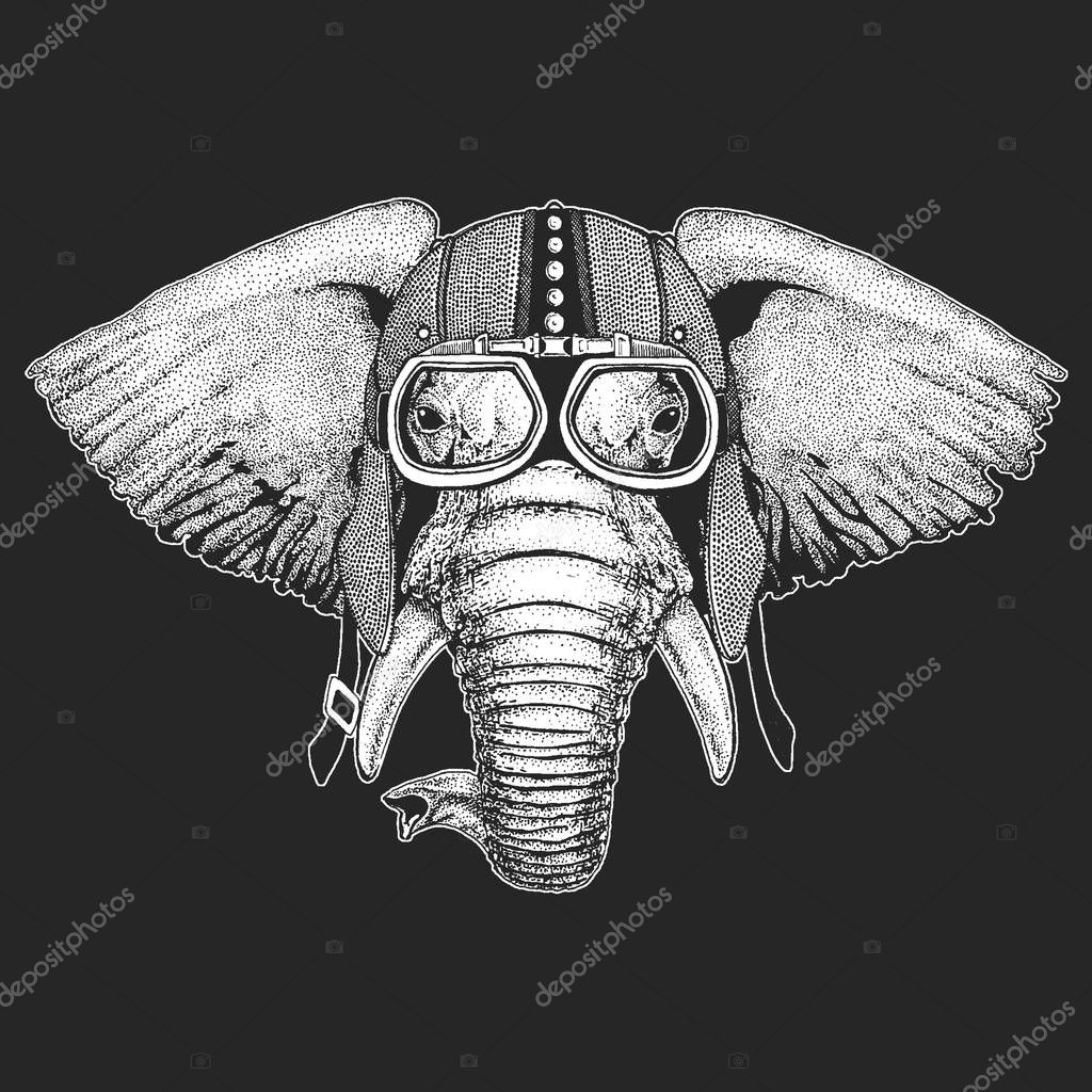 African or indian Elephant Hand drawn illustration for tattoo, emblem, badge, logo, patch, t-shirt