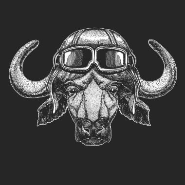 Bizon giyen havacı şapka. Çocuk giysileri, tee, t-shirt için yazdırın. Pilot vahşi hayvan