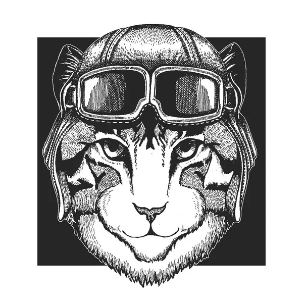 Un gatto col cappello da aviatore. Stampa per bambini vestiti, maglietta, t-shirt. Pilota animale selvatico — Vettoriale Stock