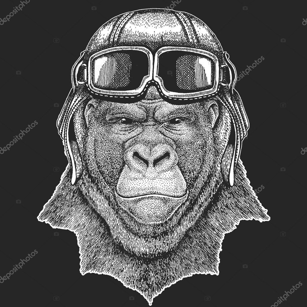 Animal wearing aviator hat. Print for children clothes, tee, t-shirt. Pilot hero.