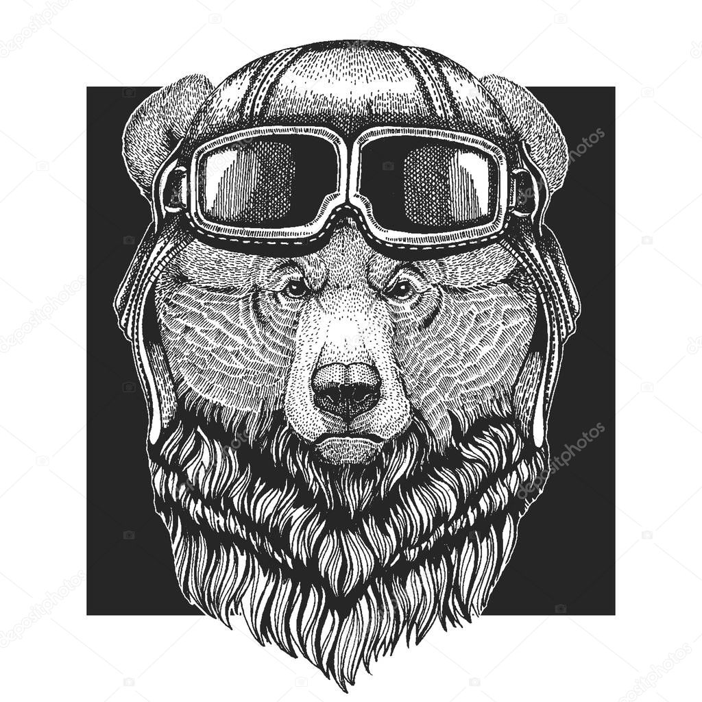 Animal wearing aviator hat. Print for children clothes, tee, t-shirt. Pilot hero.
