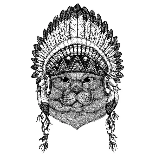 Brithish nobre gato macho selvagem animal vestindo inidan cobertura para a cabeça com penas. Ilustração de estilo chique Boho para tatuagem, emblema, crachá, logotipo, remendo. Roupas infantis —  Vetores de Stock